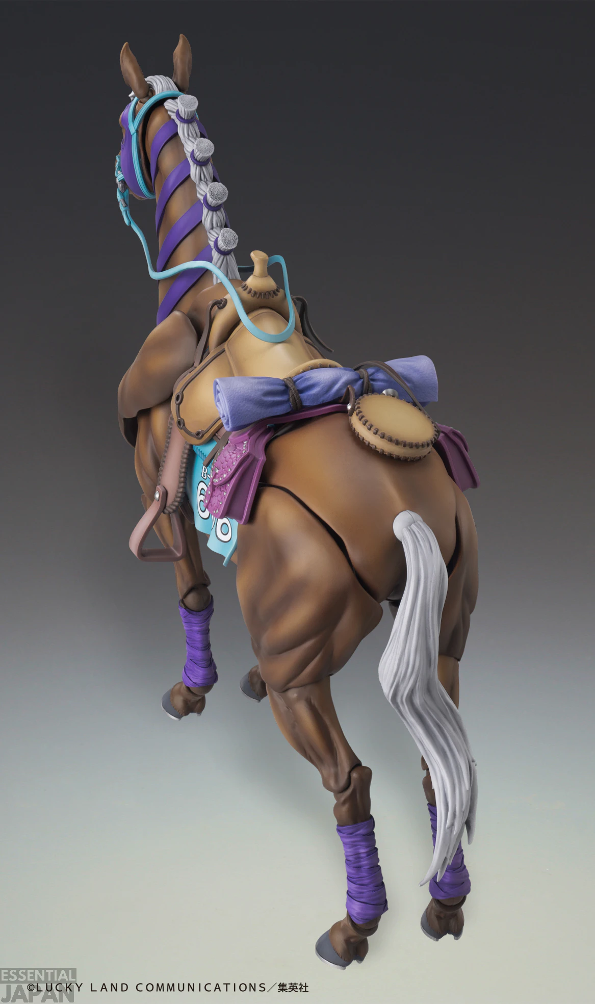 Steel Ball Run Valkyrie SAS 12