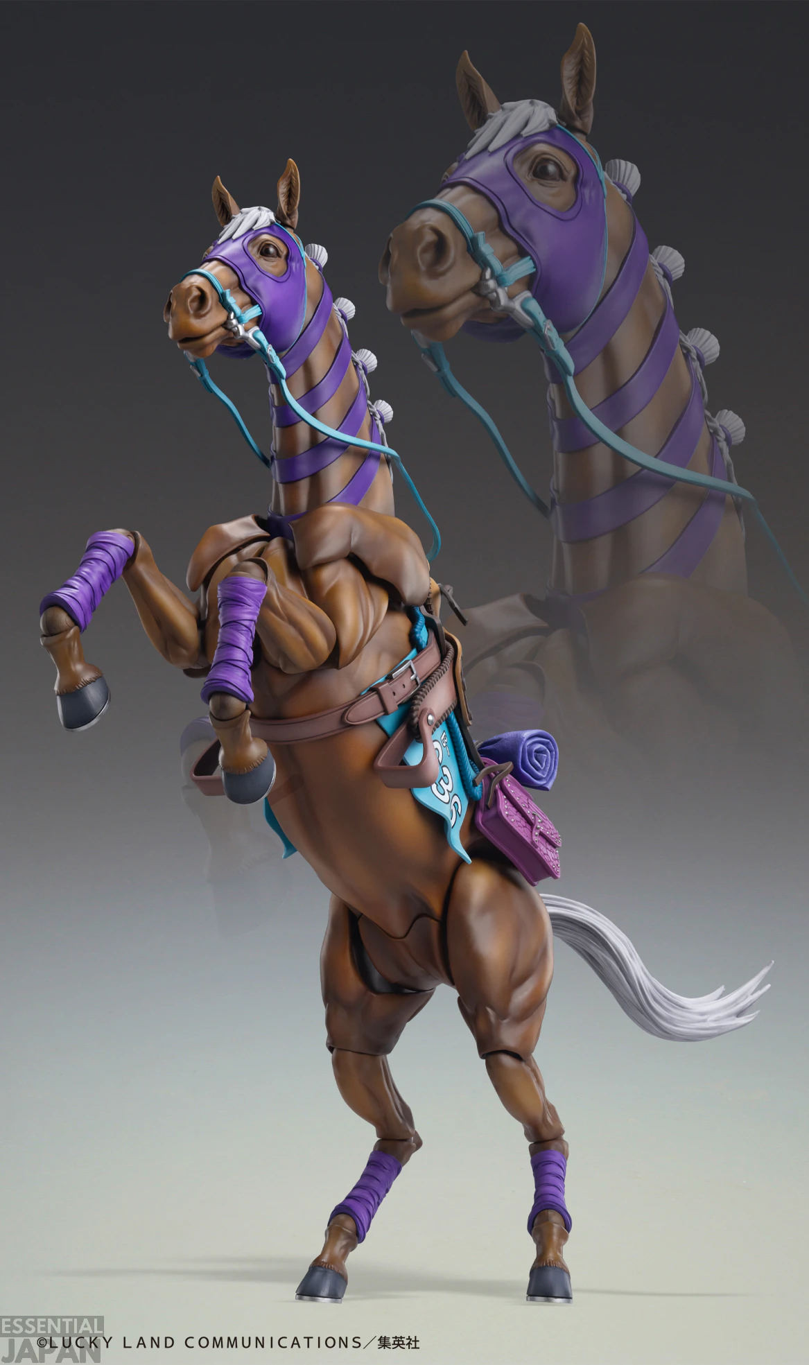 Steel Ball Run Valkyrie SAS 13