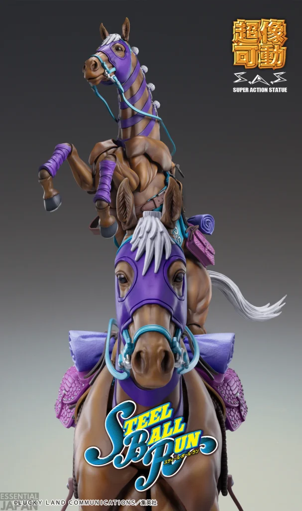 Steel Ball Run Valkyrie SAS 5