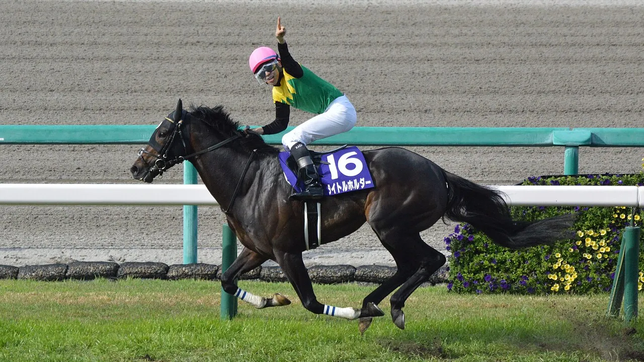 Titleholder Japanese Racehorse