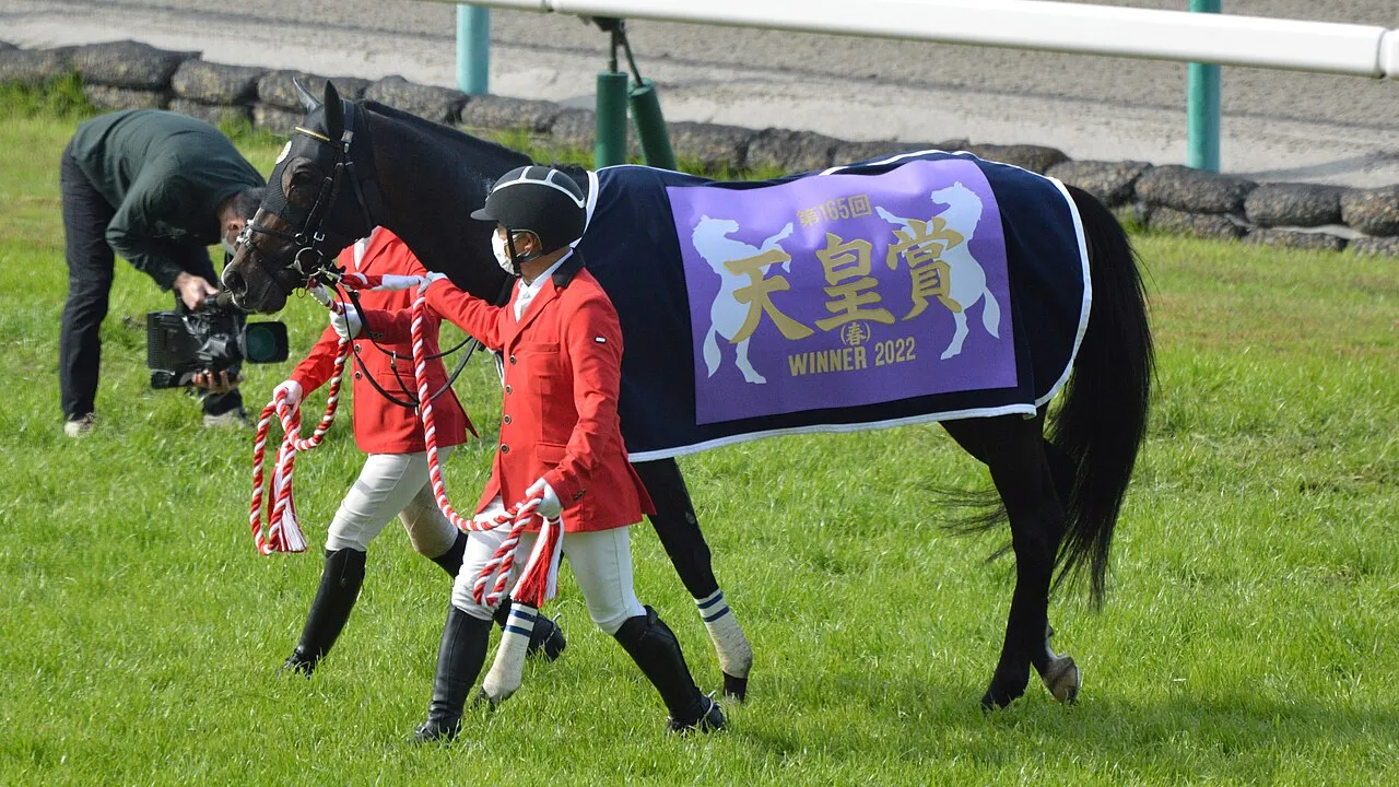 Titleholder Japanese Racehorse2