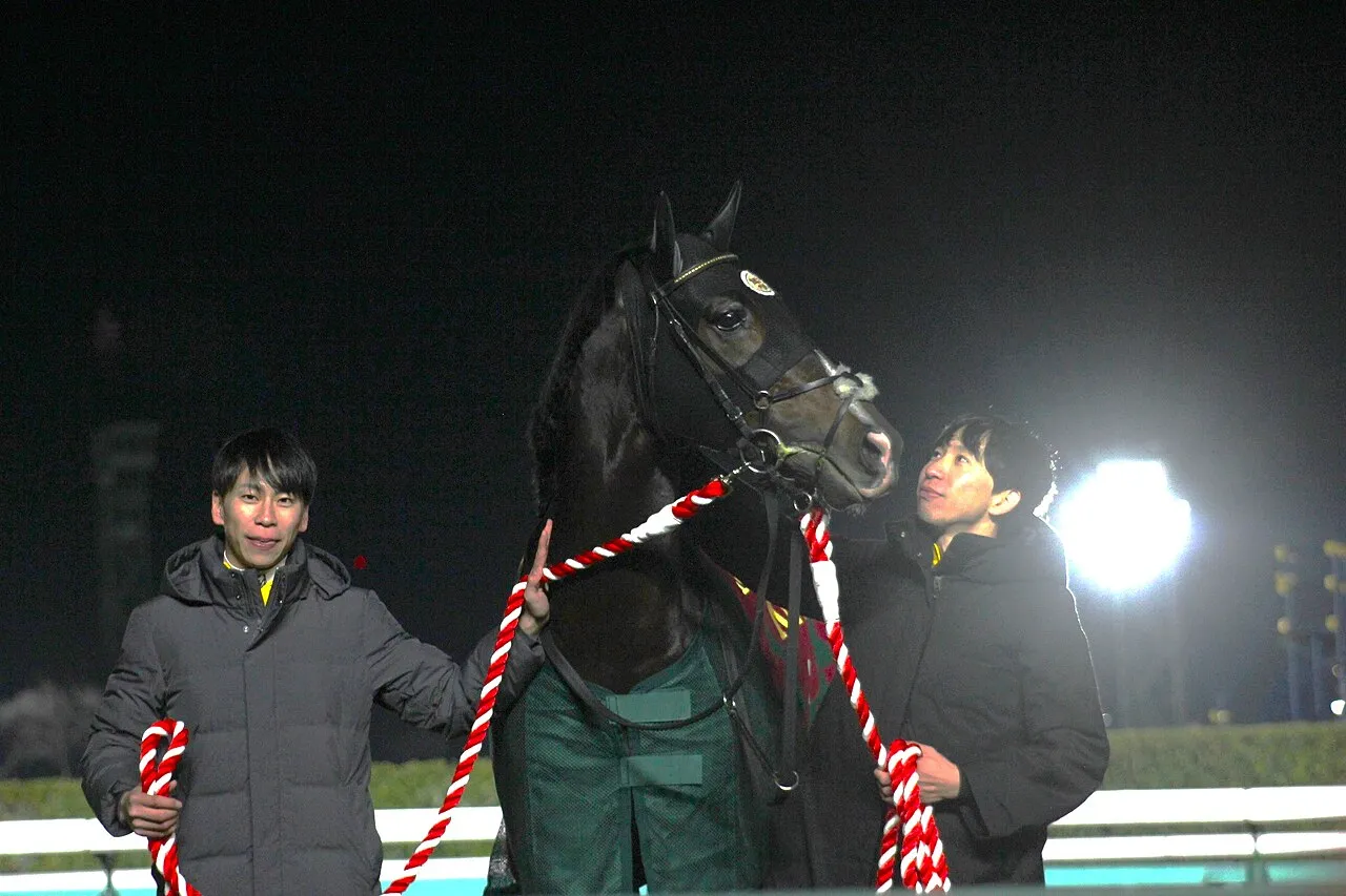 Titleholder Japanese Racehorse3