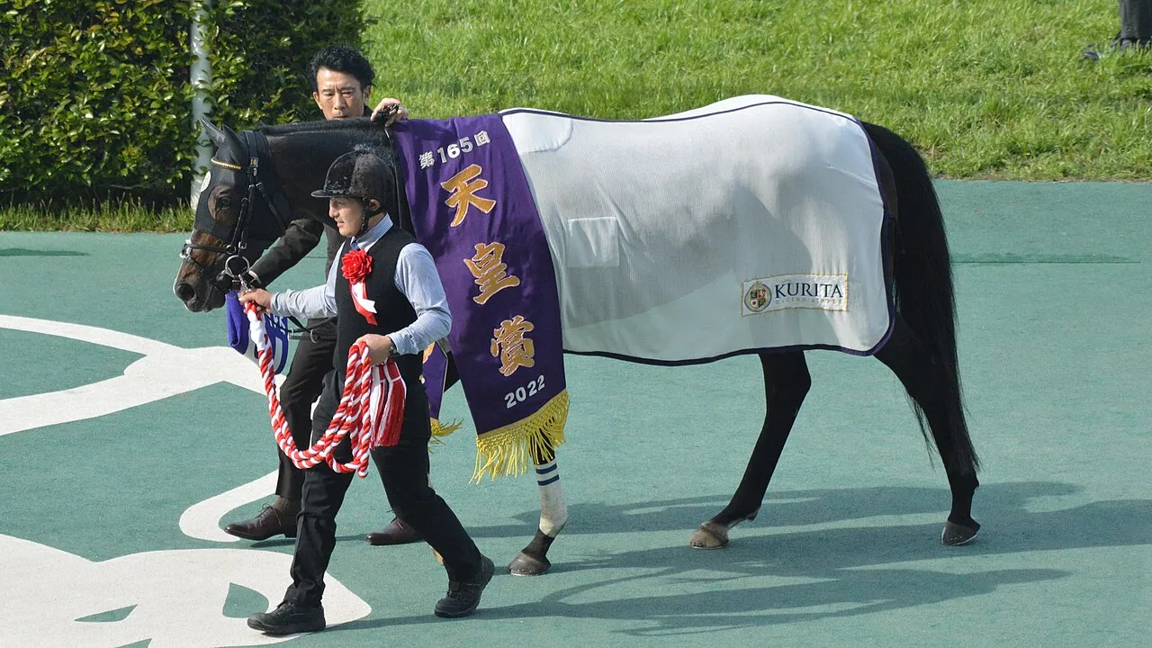 Titleholder Japanese Racehorse4