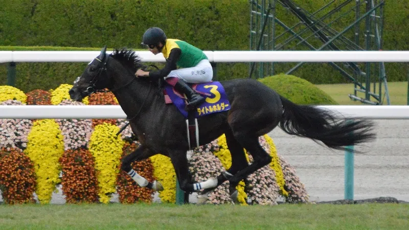 Titleholder Japanese Racehorse5
