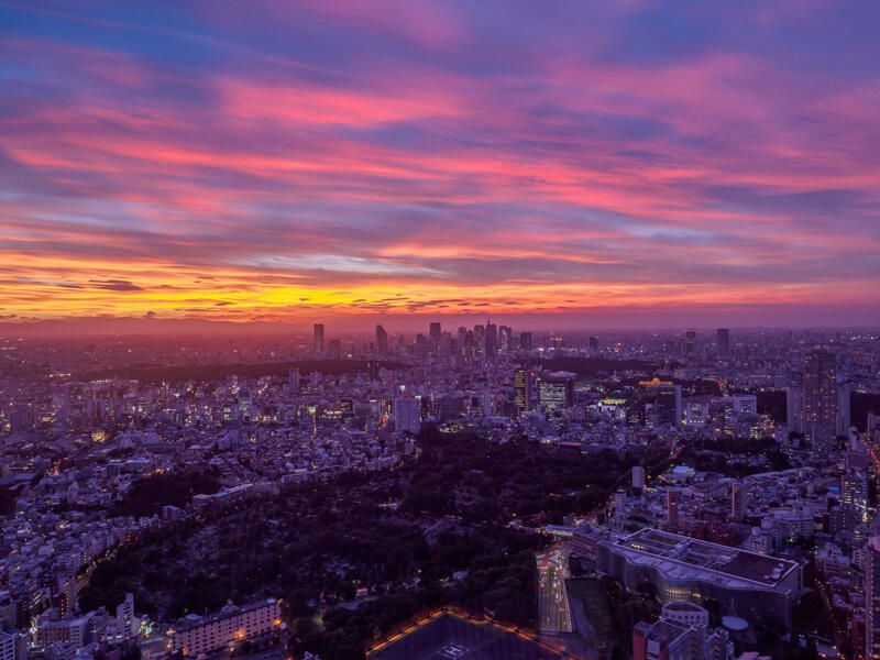 Tokyo City View