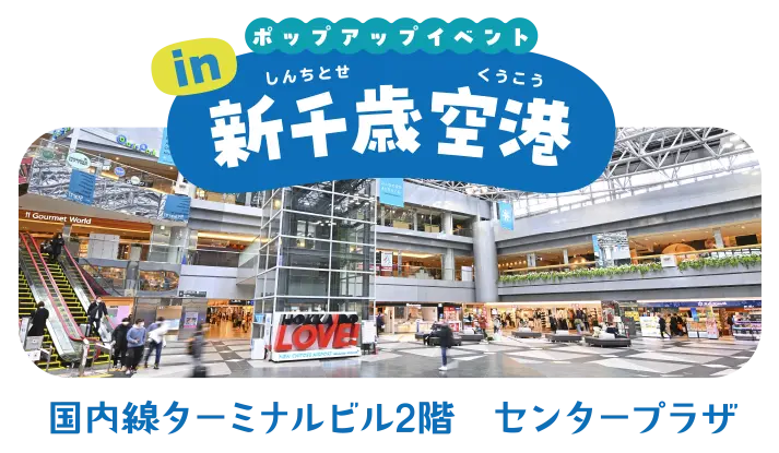 animal crossing hokkaido airports collab 3