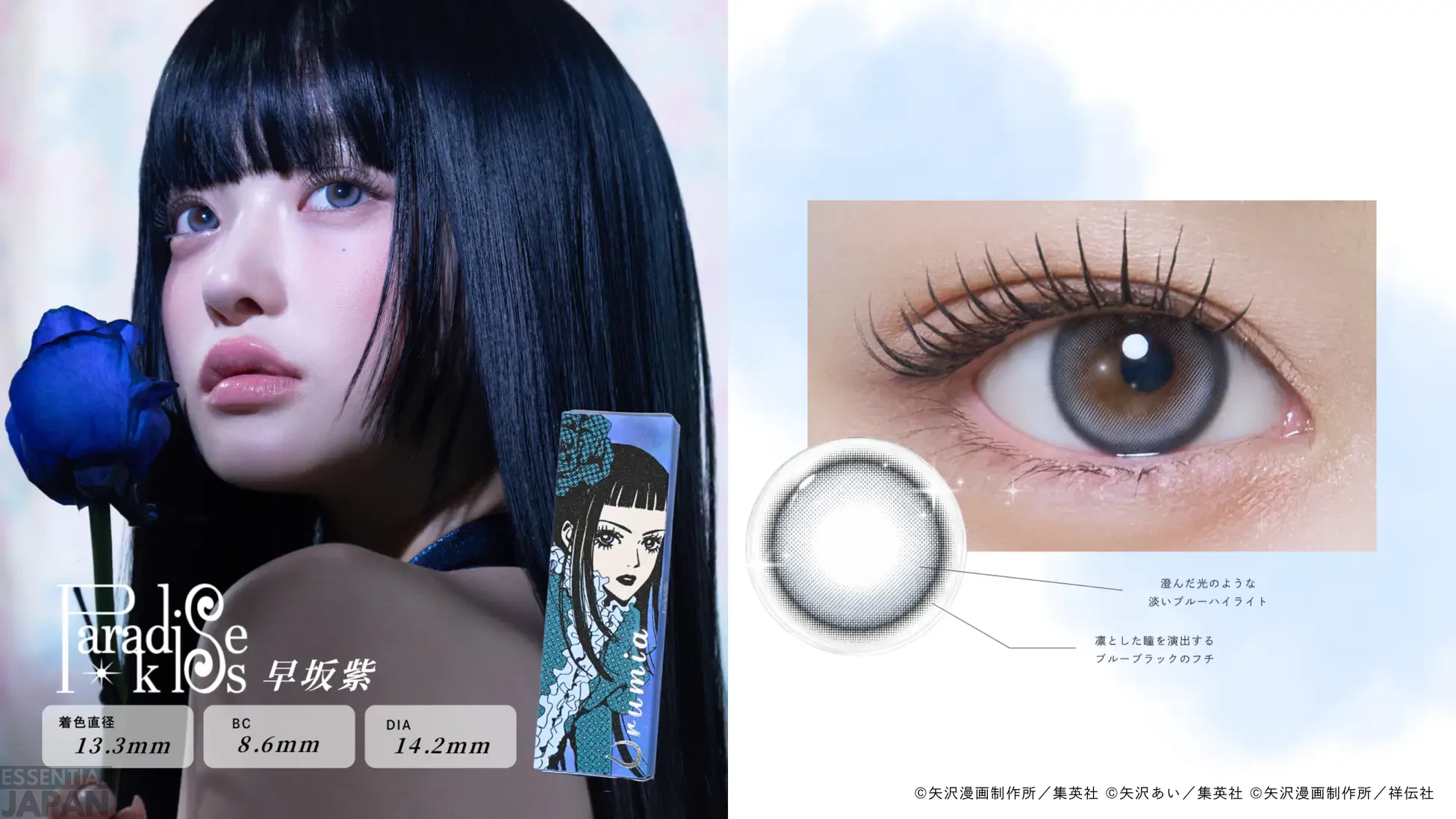 NANA's Ai Yazawa Contact Lens Collection 6
