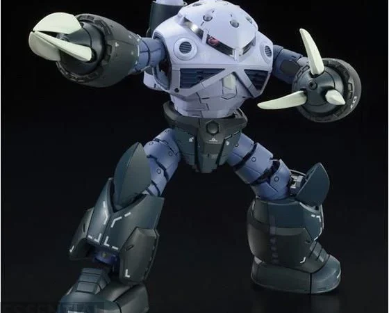 RG 1 144 Z’GOK 5