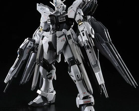 RG Strike Freedom Gundam Deactive Mode 1