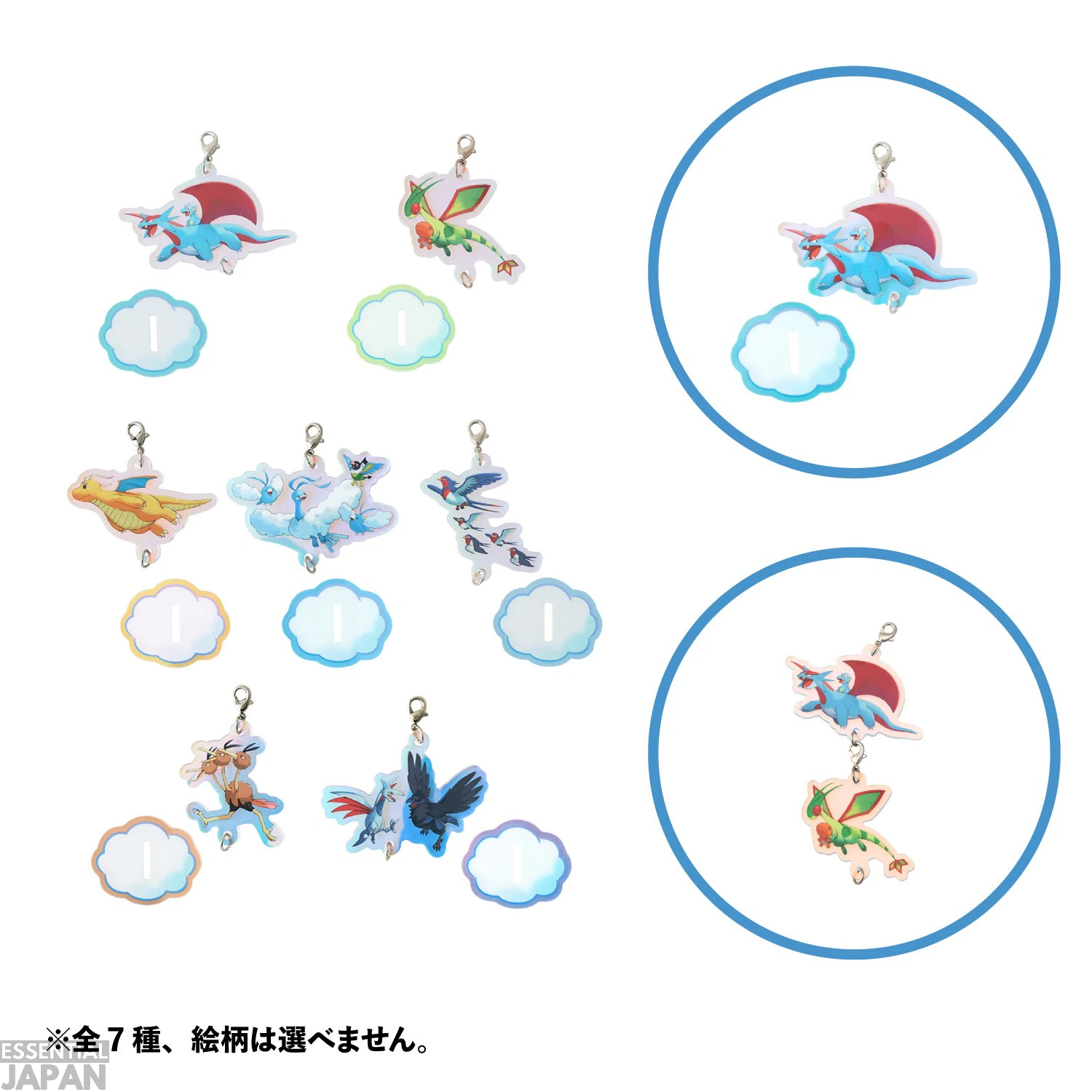Soaring Dreams Pokemon Collection 11