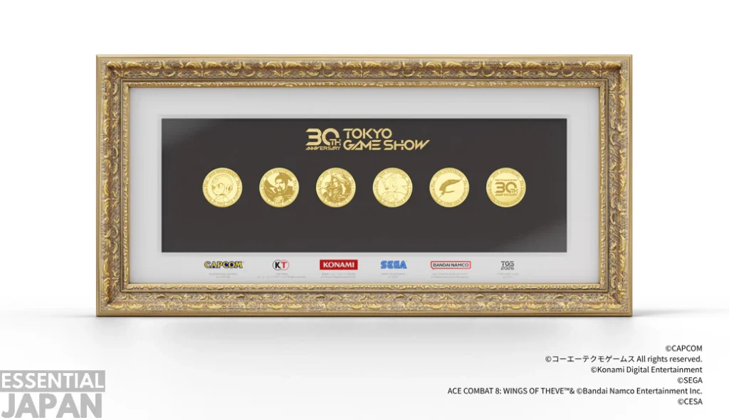 Tokyo Game Show 30th anniversary ticket