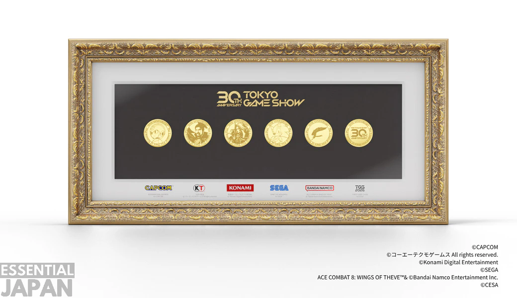 Tokyo Game Show 30th anniversary ticket