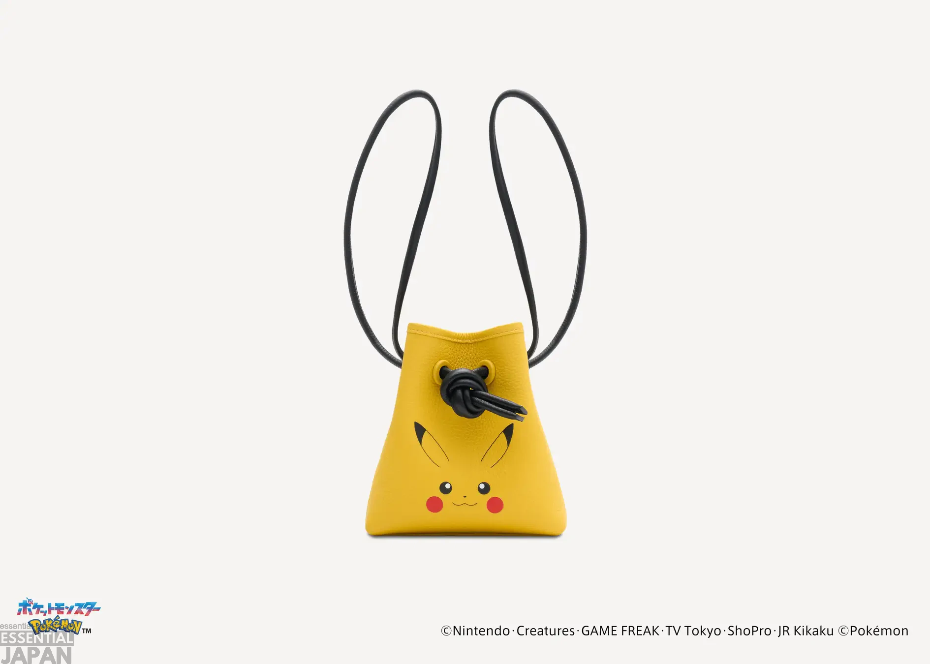 VASIC x Pokémon Official Handbag Collab 3