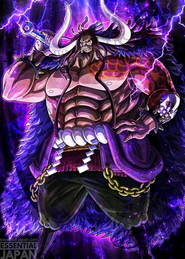 one piece kaido character art 1