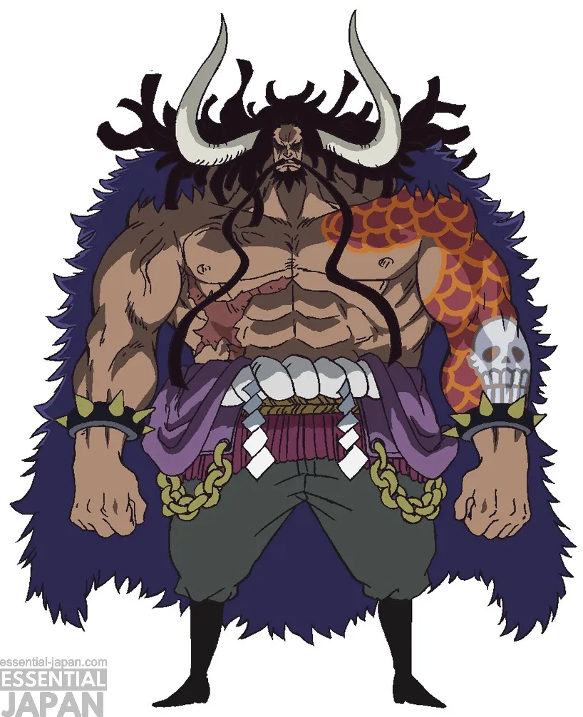 one piece kaido character art 2