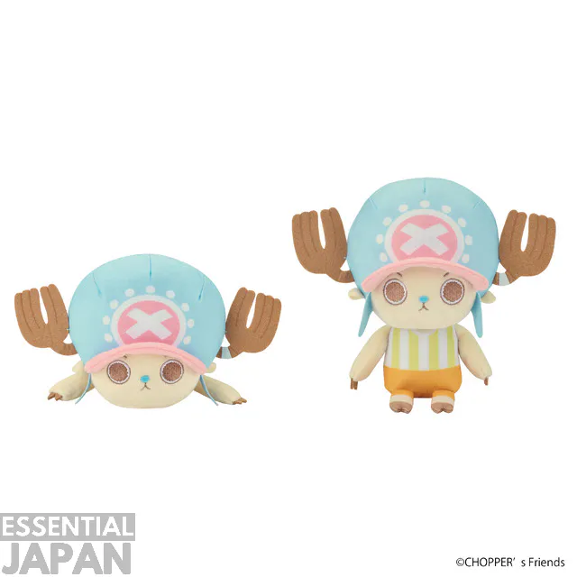 one piece round 1 2026 collab 5