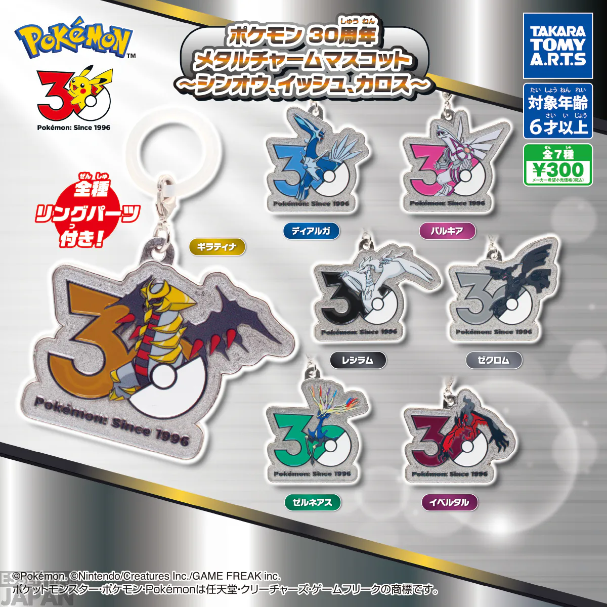 pokemon 30th charms unova sinnoh kalos 8