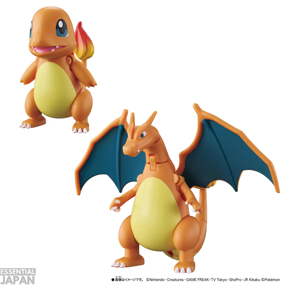 pokemon transforming charmander charizard 1 (4)