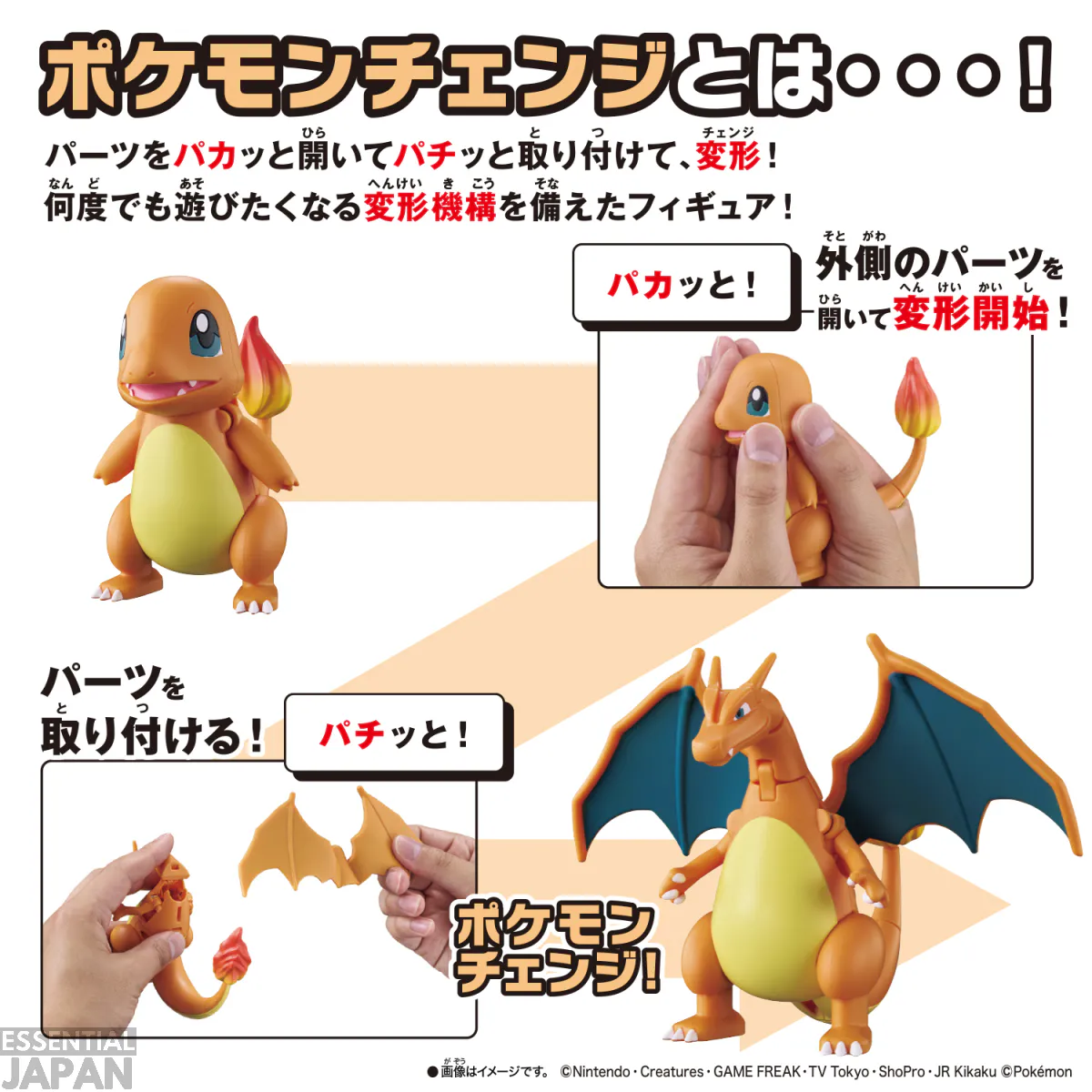 pokemon transforming charmander charizard 3