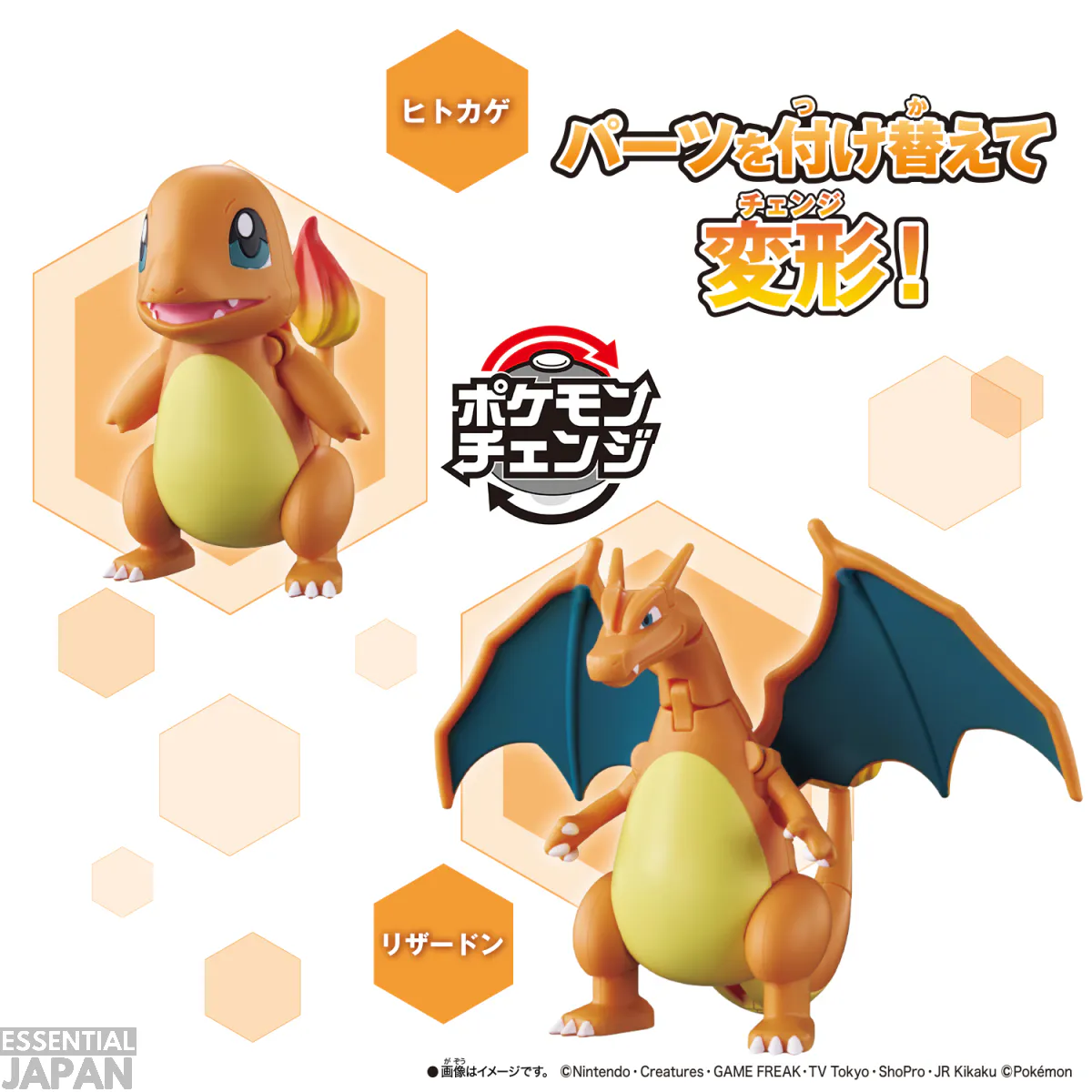 pokemon transforming charmander charizard 4