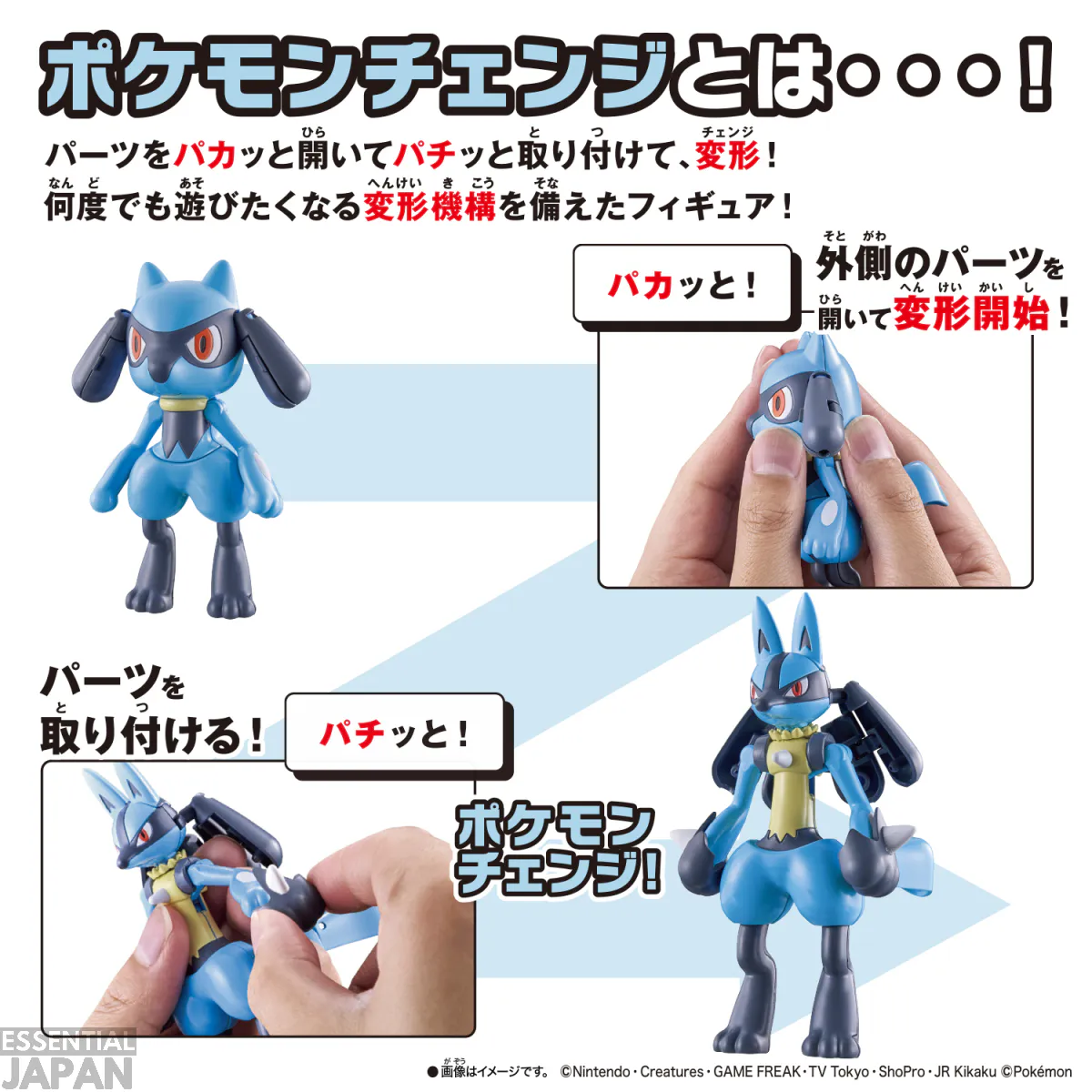 pokemon transforming riolu lucario 2