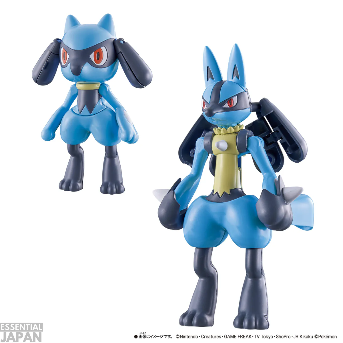 pokemon transforming riolu lucario 4