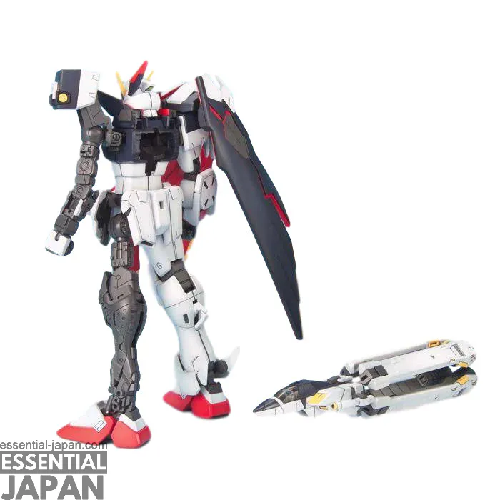MG 1100 Crossbone Gundam X 1 Full Cloth 5