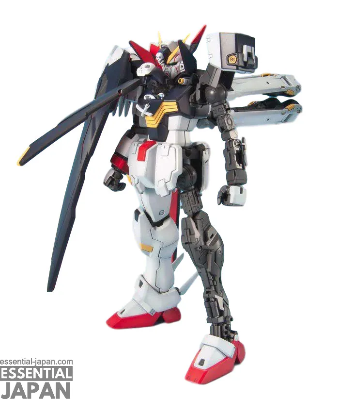 MG 1100 Crossbone Gundam X 1 Full Cloth 7