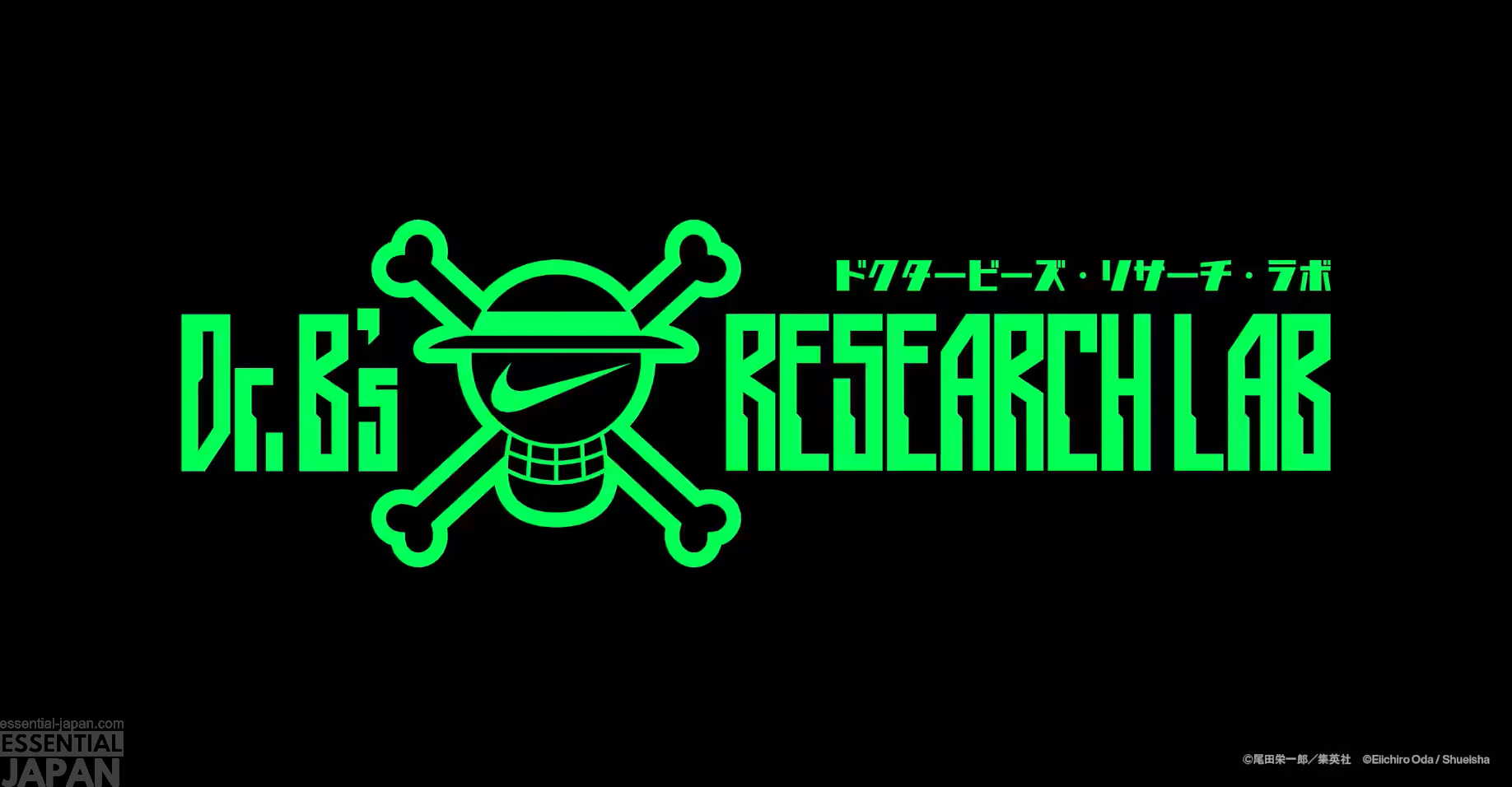 ONE PIECE × Nike Collab 5