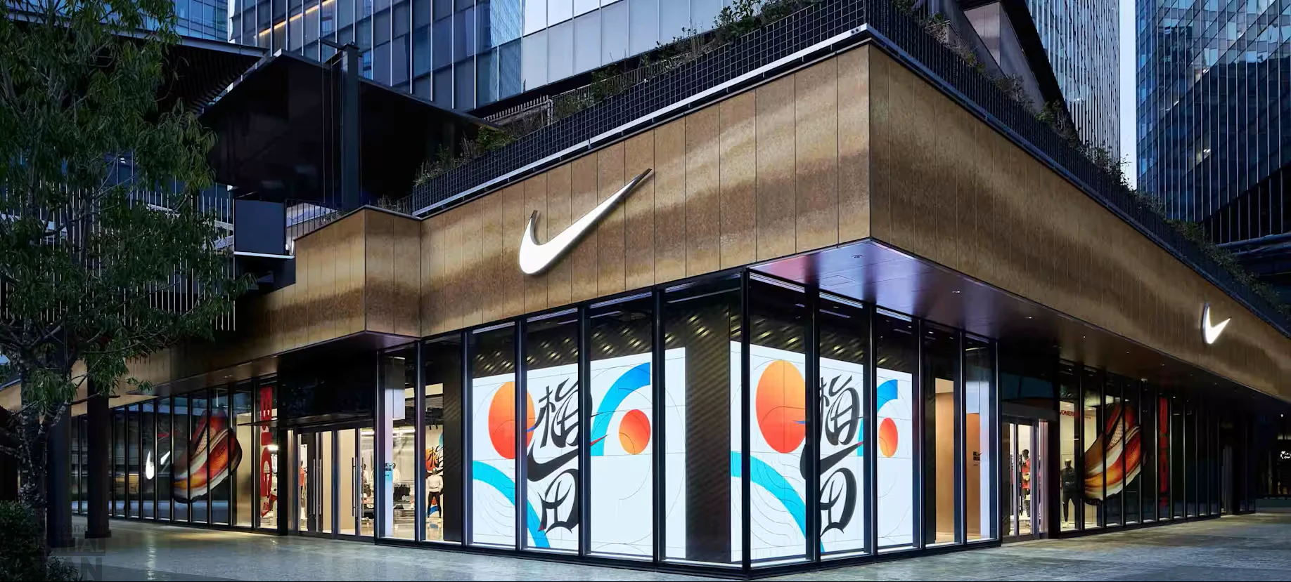 ONE PIECE × Nike Collab 6