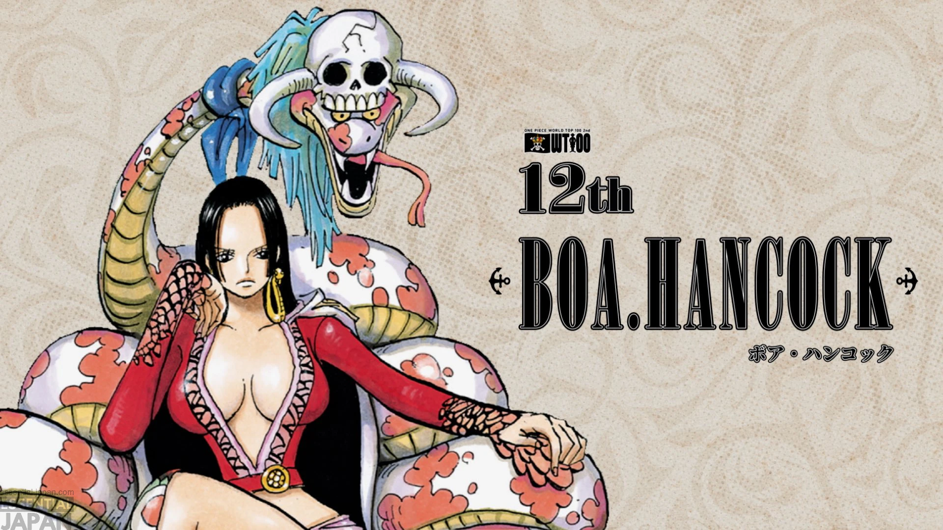 One Piece 2nd WORLD TOP 100 character popularity poll 12