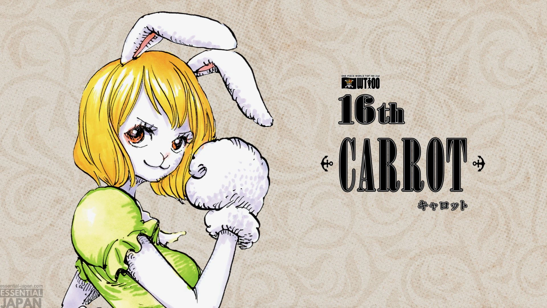 One Piece 2nd WORLD TOP 100 character popularity poll 17