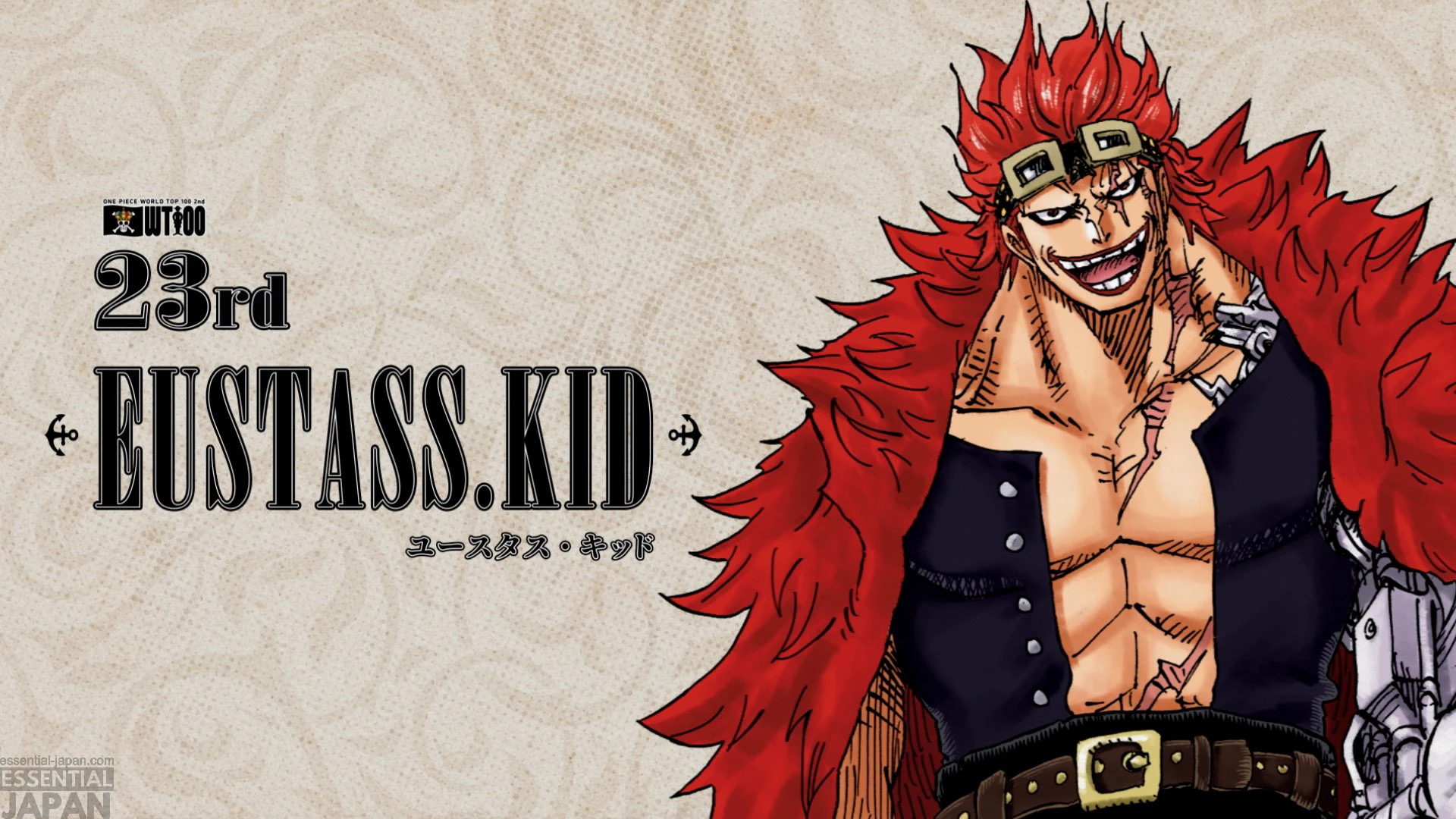 One Piece 2nd WORLD TOP 100 character popularity poll 25