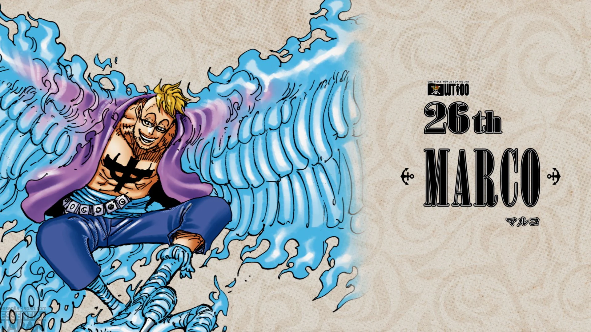 One Piece 2nd WORLD TOP 100 character popularity poll 28