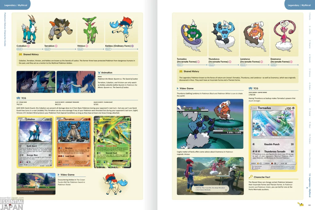 Pokémon Limited Edition 30th Anniversary Deluxe Character Guide 2
