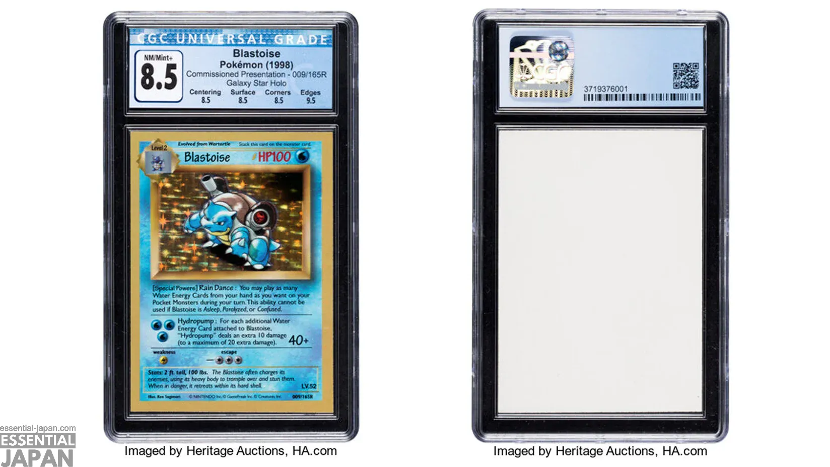 Presentation Blastoise pokemon tcg