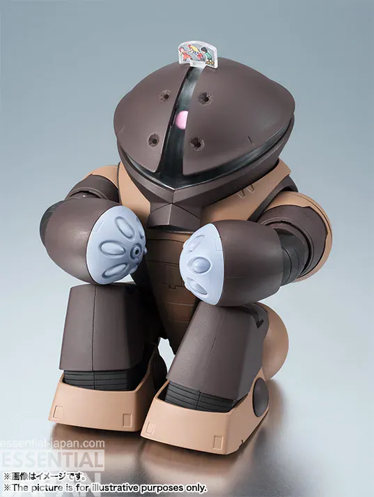 ROBOT SPIRITS SIDE MS MSM 04 Acguy ver. ANIME 2