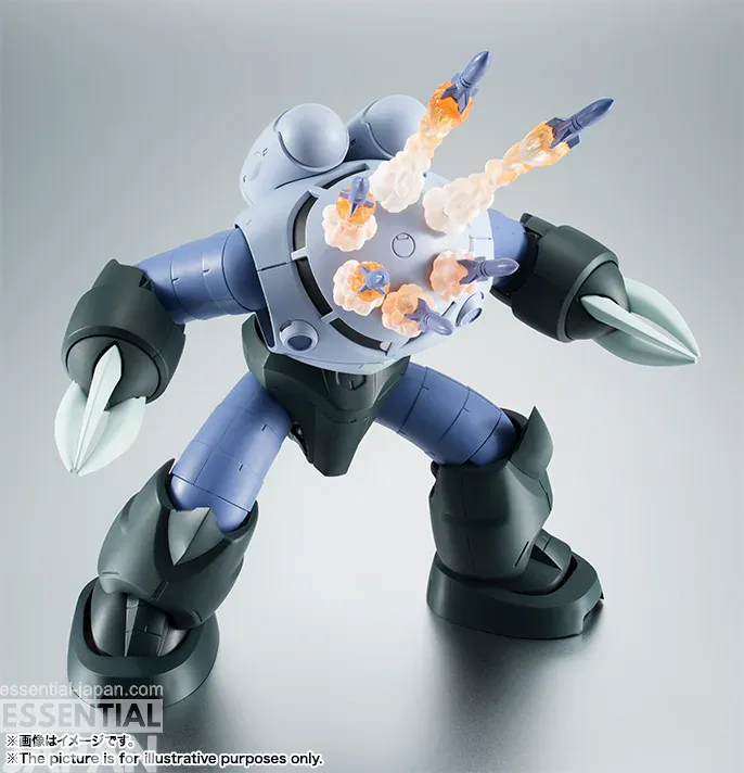 ROBOT SPIRITS SIDE MS MSM 07 Mass Production Type Z'Gok ver. ANIME 2