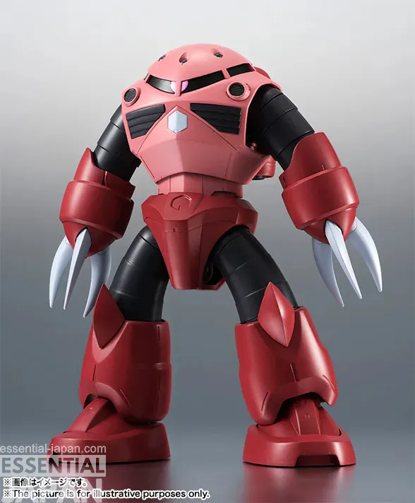 ROBOT SPIRITS SIDE MS MSM 07S Char's Z'Gok ver. ANIME 1