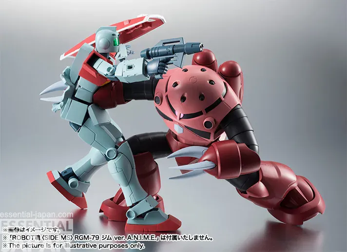 ROBOT SPIRITS SIDE MS MSM 07S Char's Z'Gok ver. ANIME 2