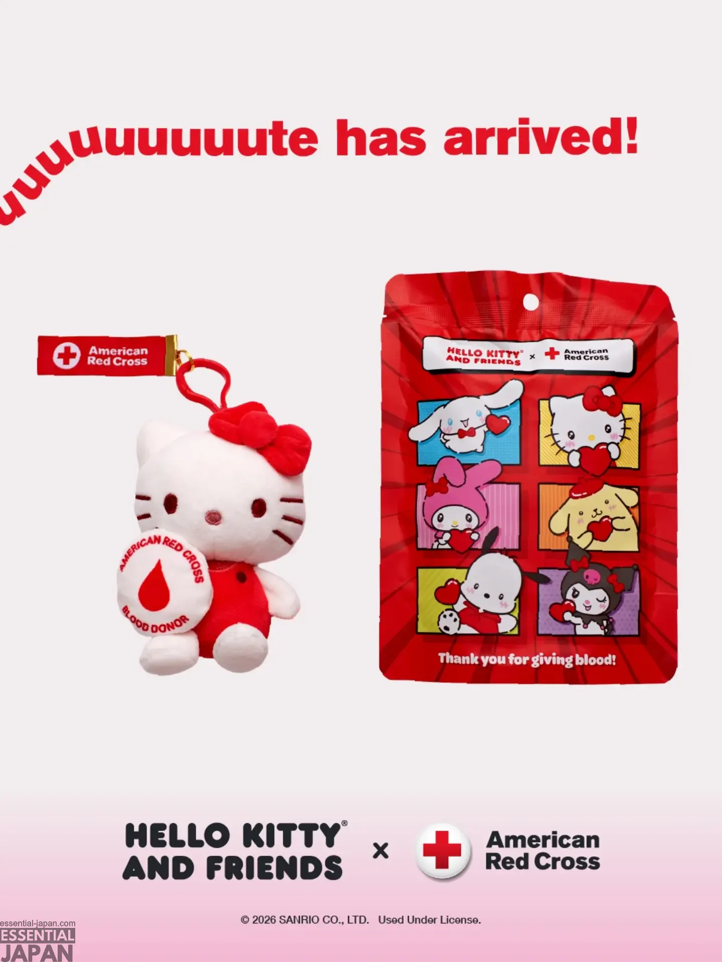 Sanrio American Red Cross Hello Kitty 4