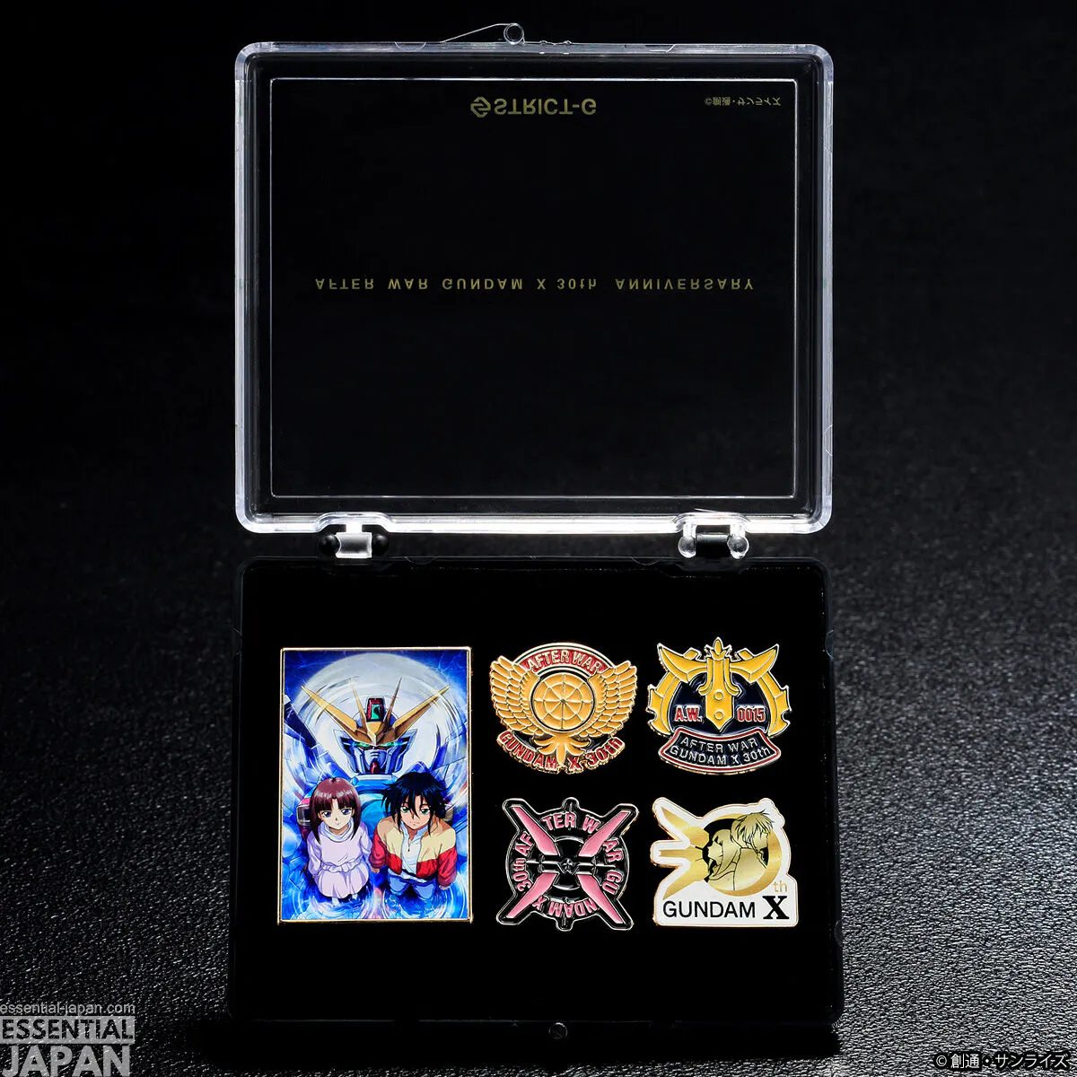 after war gundma x strict g 30th pin collection 7