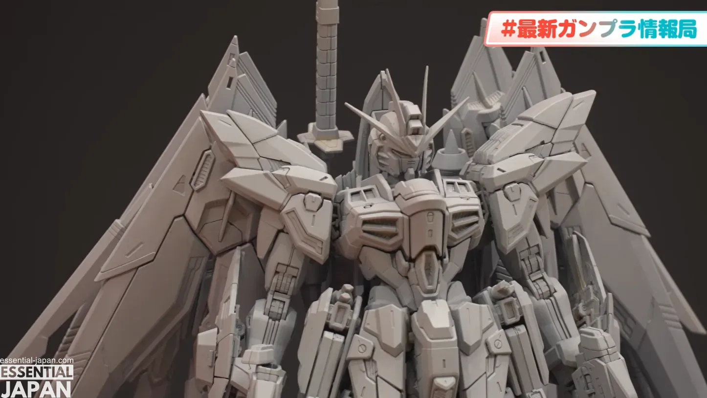 MIGHTYSTRIKEFREEDOM GUNDAM MGEX REVEAL 3