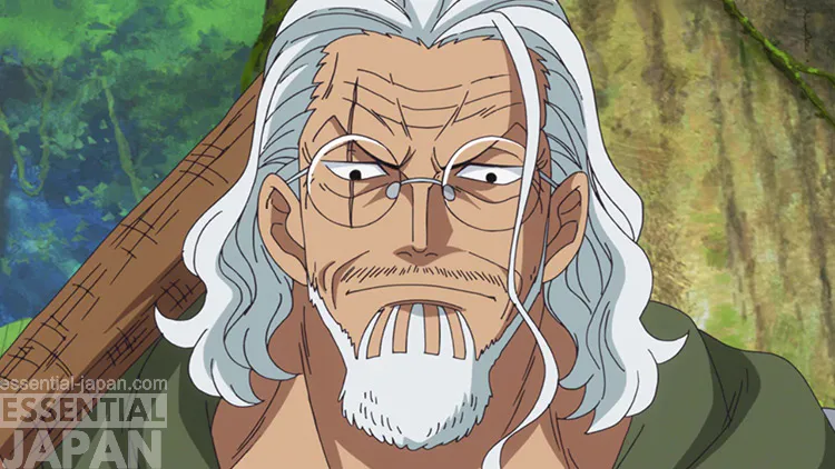 silvers rayleigh one piece anime screenshot
