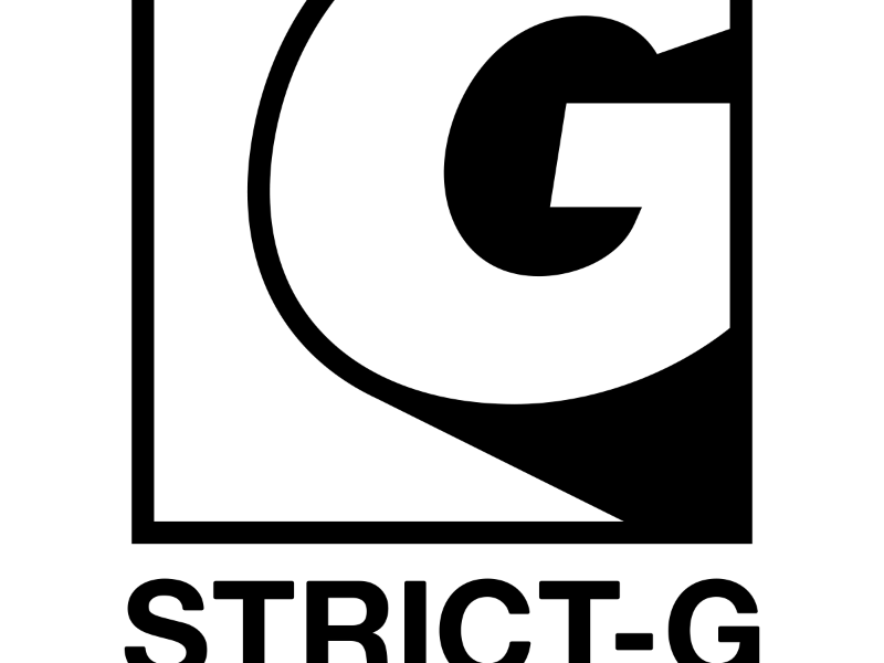 strict g the animation logo