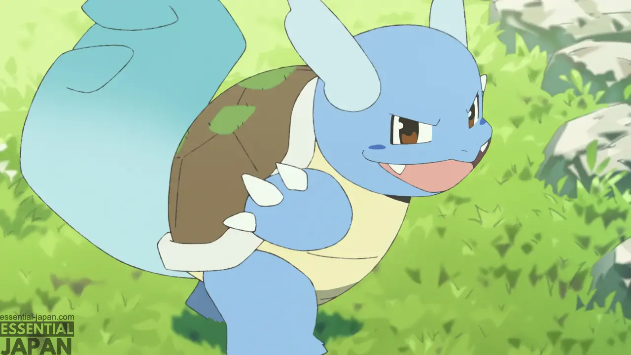 wartortle poketoon 5