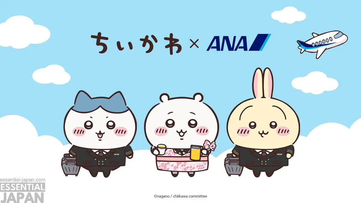 chiikawa ana plane 0