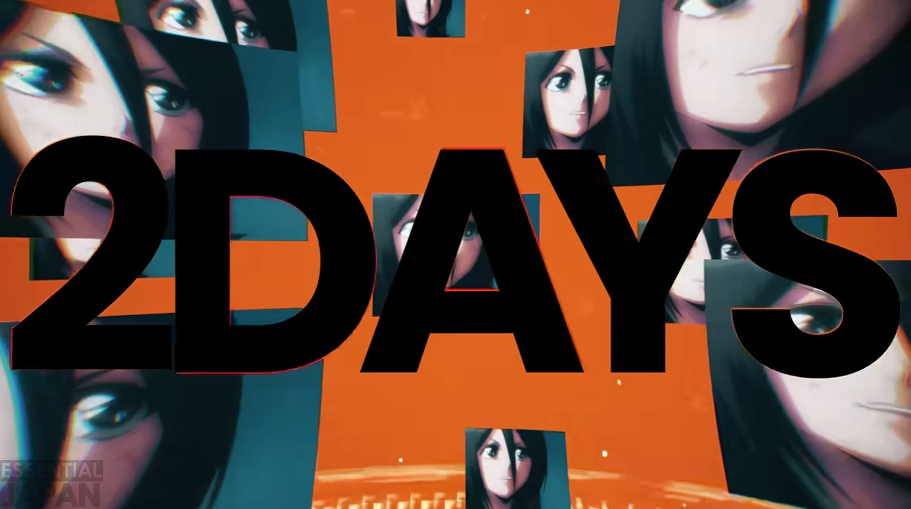 2days bleachfes