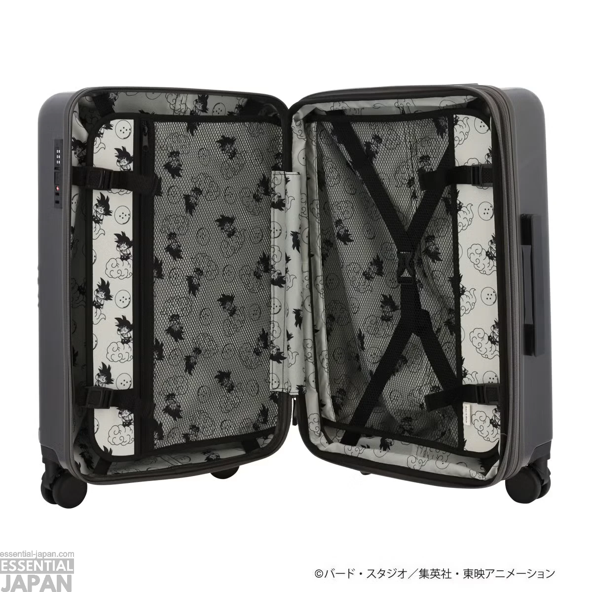 Dragon Ball Travel Collection 29