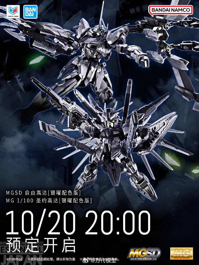 Freedom Gundam and Testament Gundam Silver Colo Gunpla 1